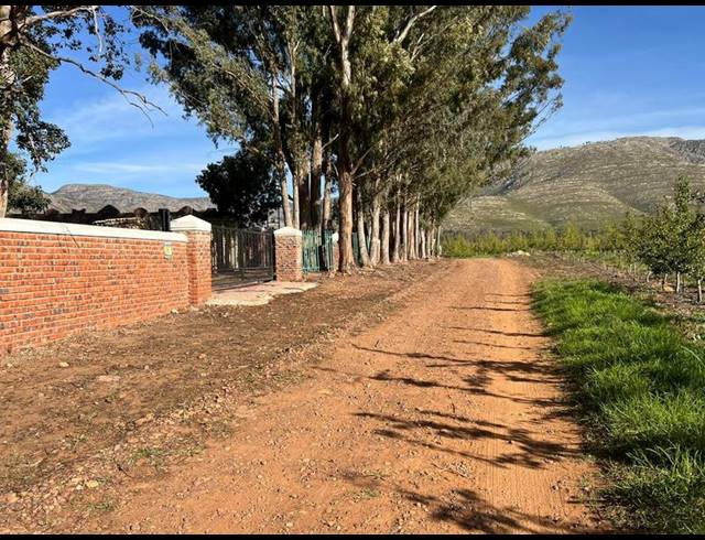 FARM FOR SALE IN JOUBERTINA RURAL